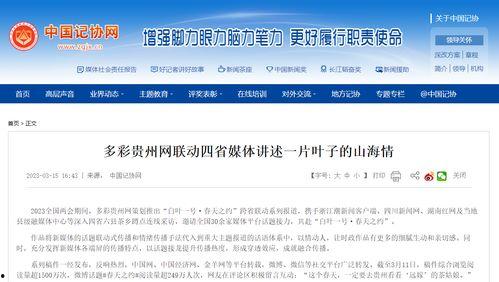 最新联动爆料新闻报道,揭秘重大新闻事件背后真相  第2张