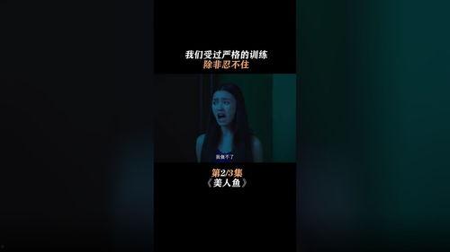 热点爆料搞笑视频转场,笑点连连  第1张